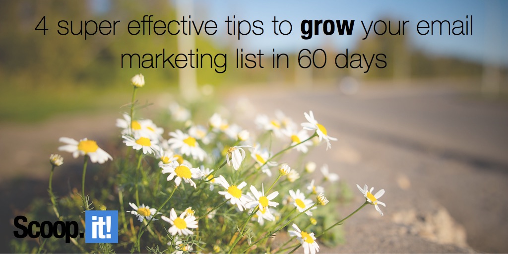 4 super effective tips to grow your email marketing list in 60 days