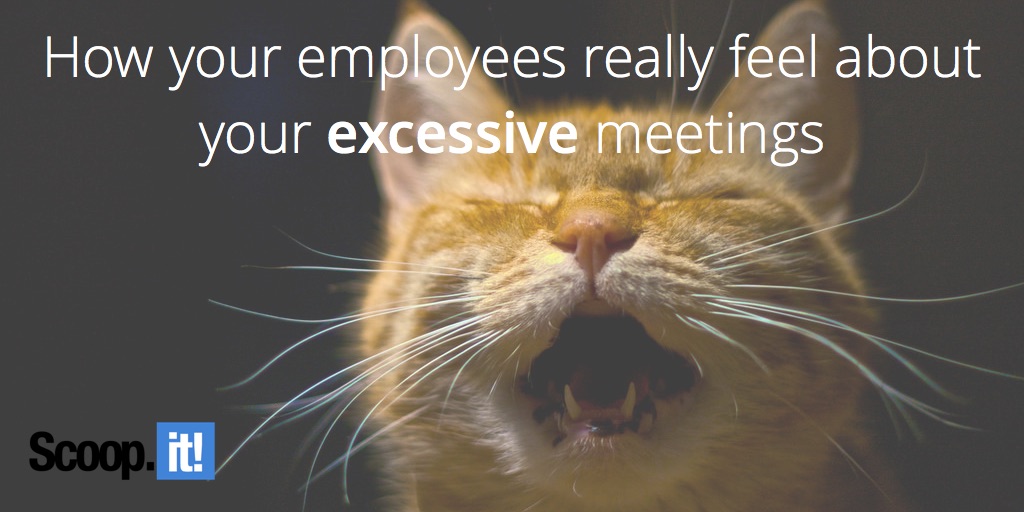 how your employees really feel about your excessive meetings
