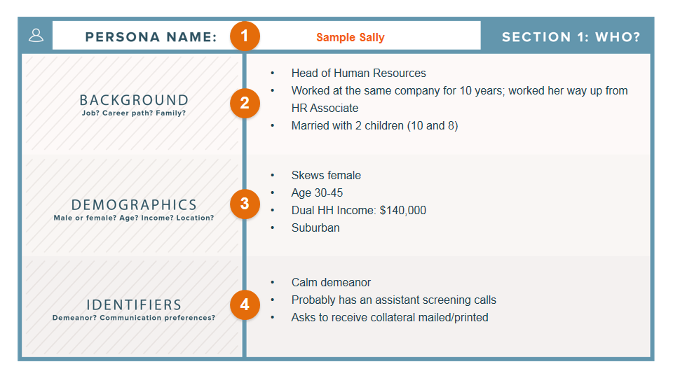 persona-template-demographics