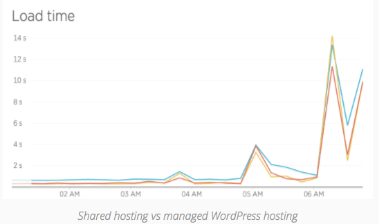 wordpress hosting