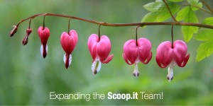 Expanding the Scoop.it Team!