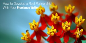 How to Develop a Real Partnership with your Freelance Writer