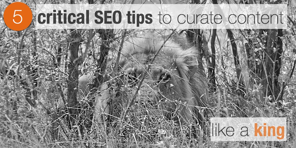 5 critical SEO tips to curate content like a king