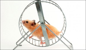 intelligent content marketing automation artificial intelligence hamster wheel