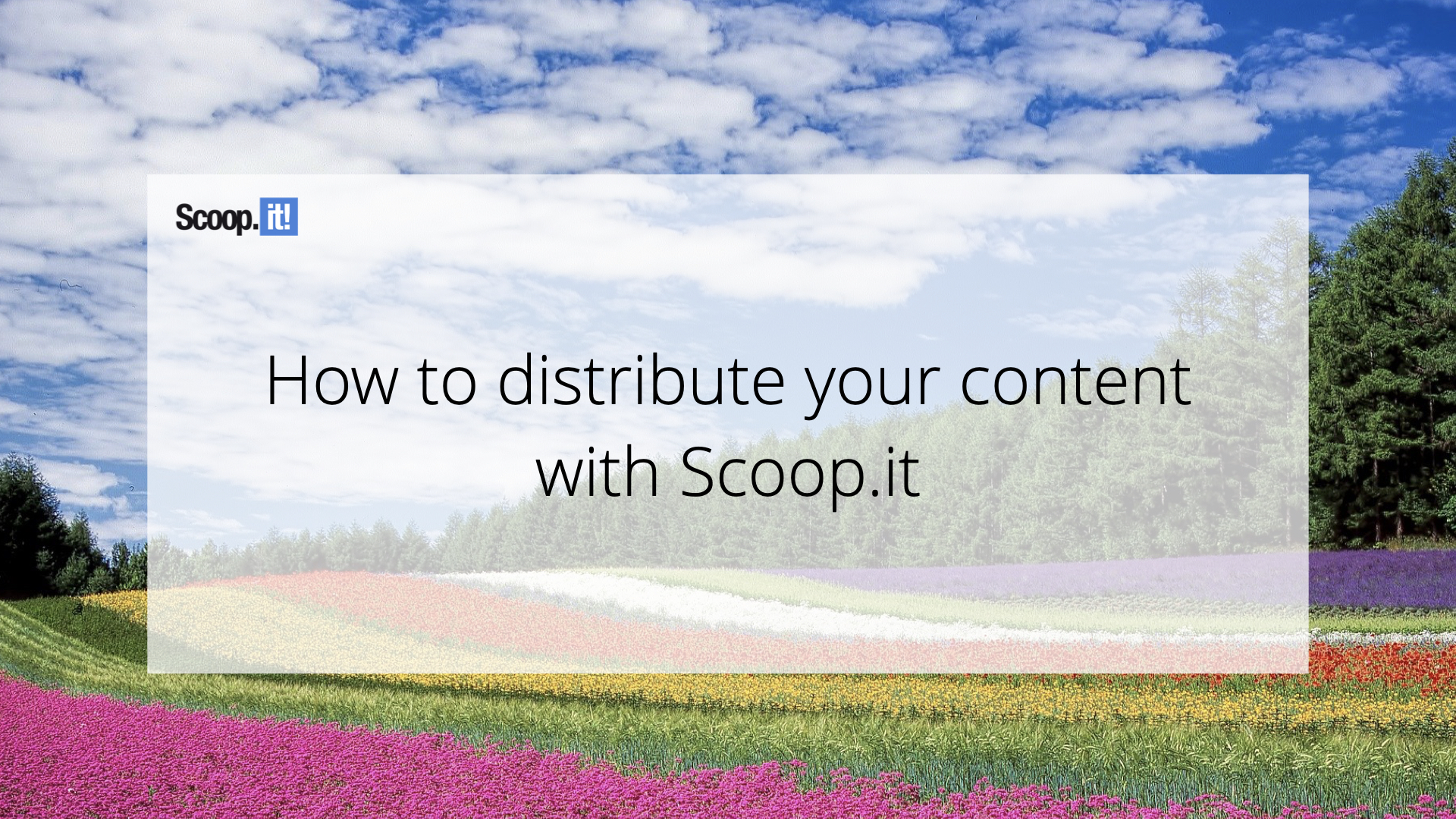 How To Distribute Your Content With Scoop.it