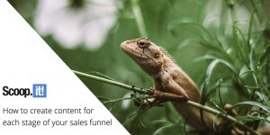 How to Create Content for Each Stage of Your Sales Funnel