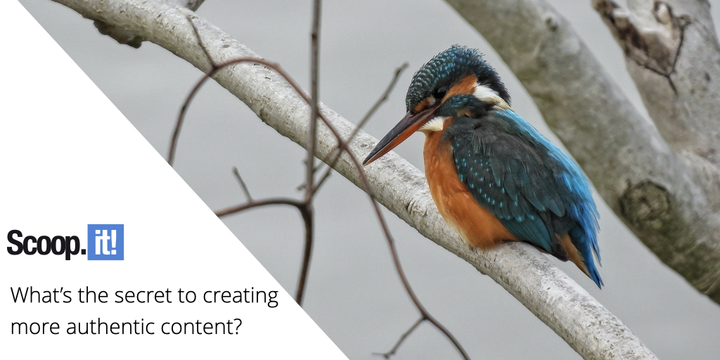 Whatâ€™s The Secret to Creating More Authentic Content?