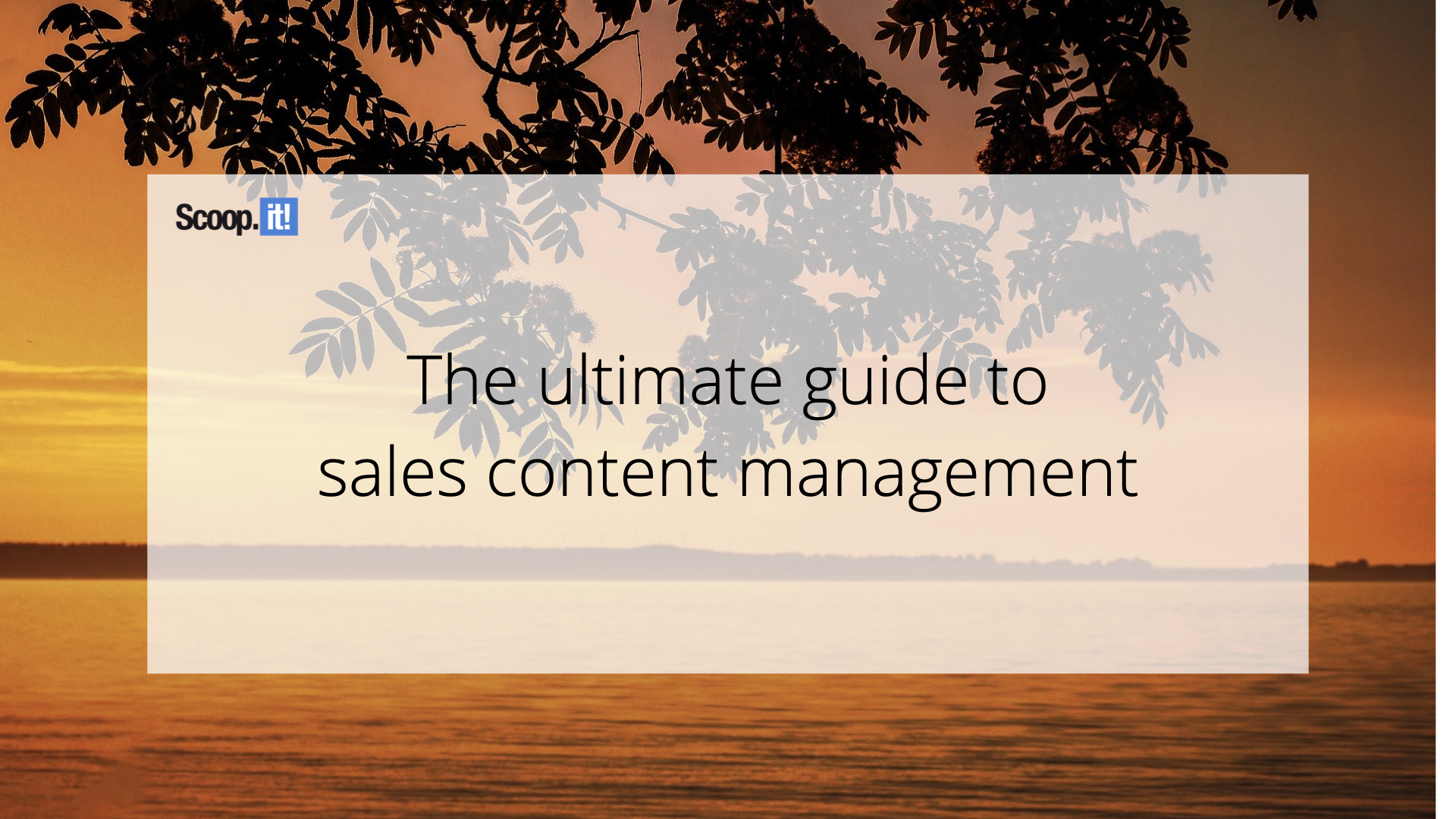 The Ultimate Guide to Sales Content Management
