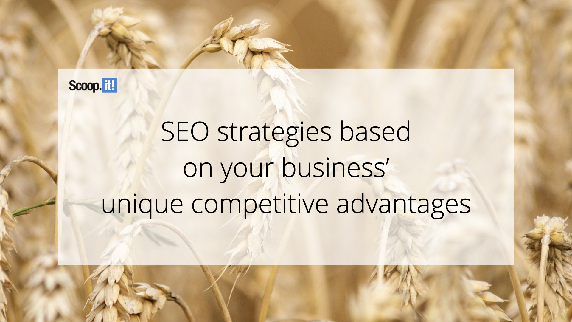 SEO Strategies Based on Your Business’ Unique Competitive Advantages
