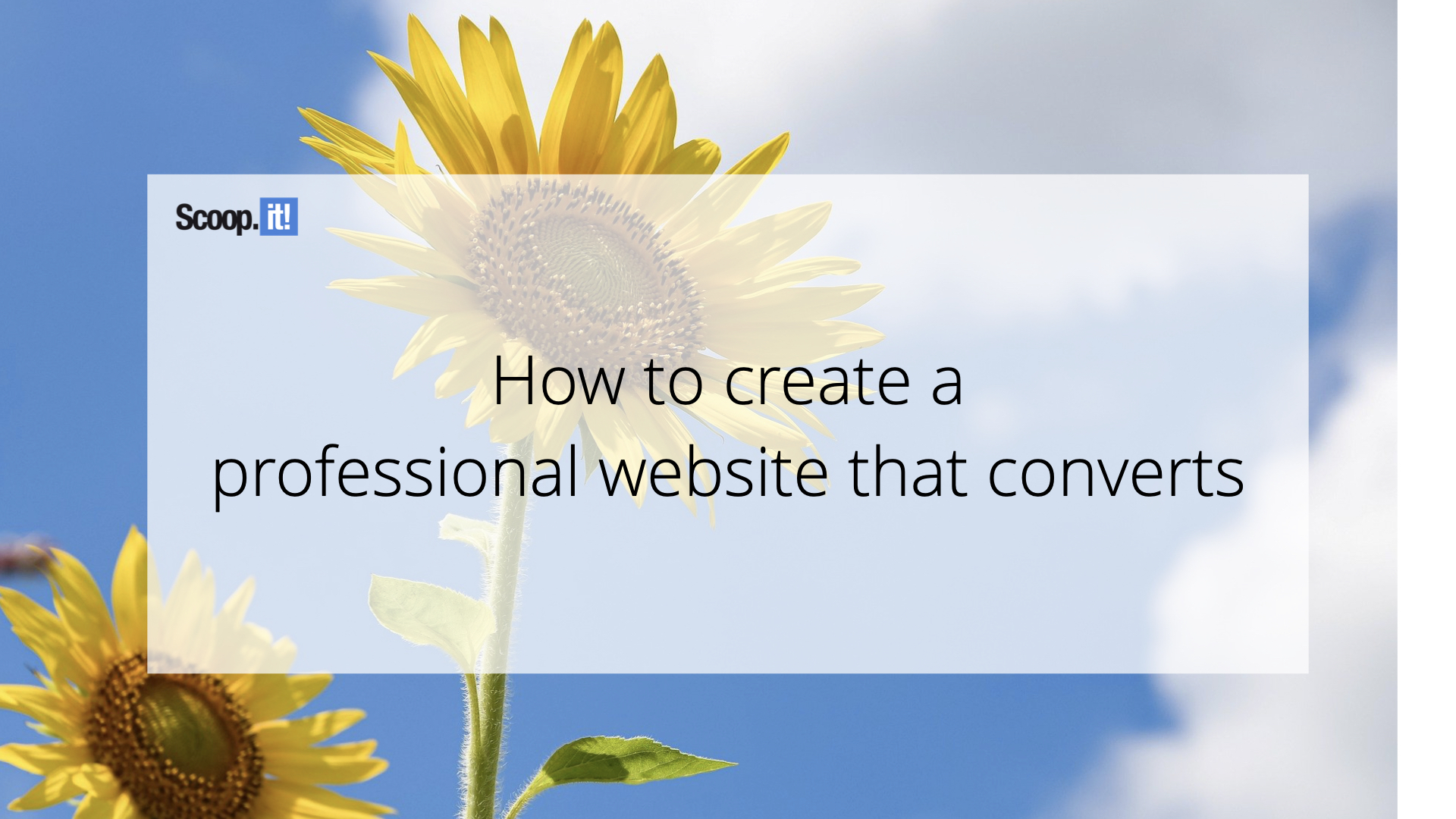 How To Create A Professional Website That Converts Margaret Beagle