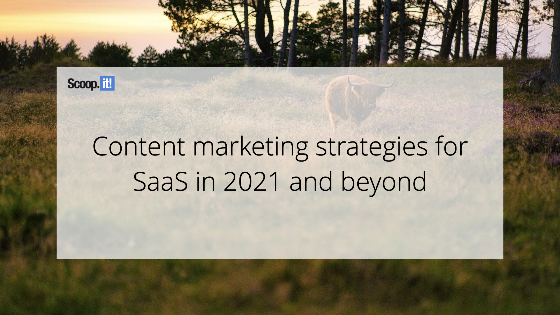 Content Marketing Strategies for SaaS in 2021 and Beyond
