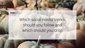 Which Social Media Trends Should You Follow and Which Should You Drop