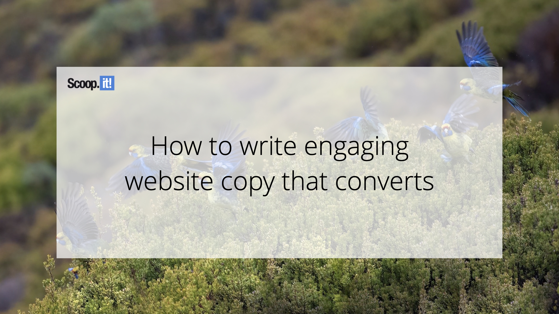 How to Write Engaging Website Copy That Converts