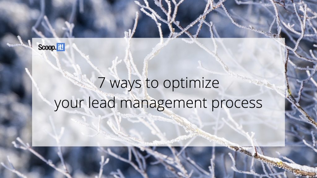 7 Ways to Optimize Your Lead Management Process