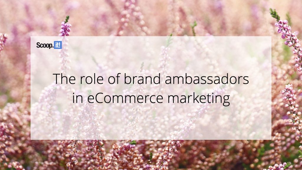 The Role of Brand Ambassadors in eCommerce Marketing