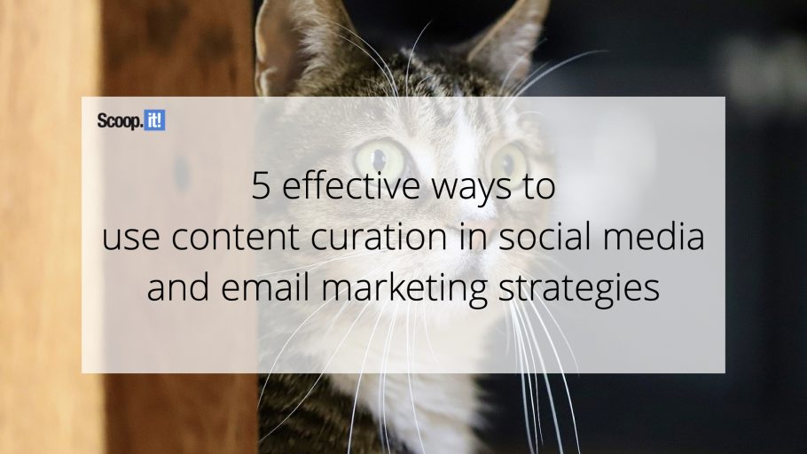 5 Effective Ways to Use Content Curation in Social Media and Email Marketing Strategies