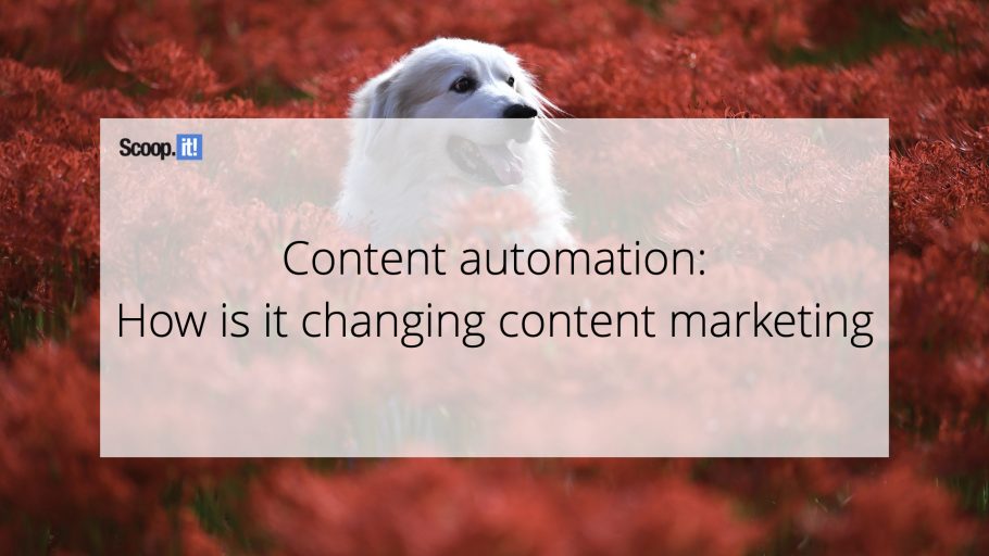 Content Automation: How is it changing content marketing