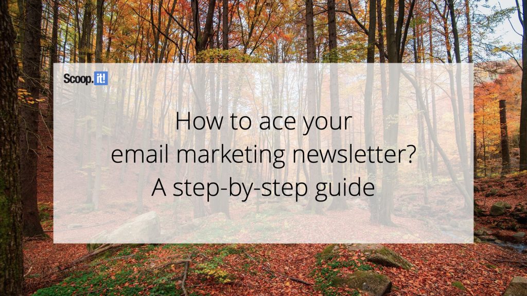How to Ace Your Email Marketing Newsletter? (A Step-by-Step Guide)
