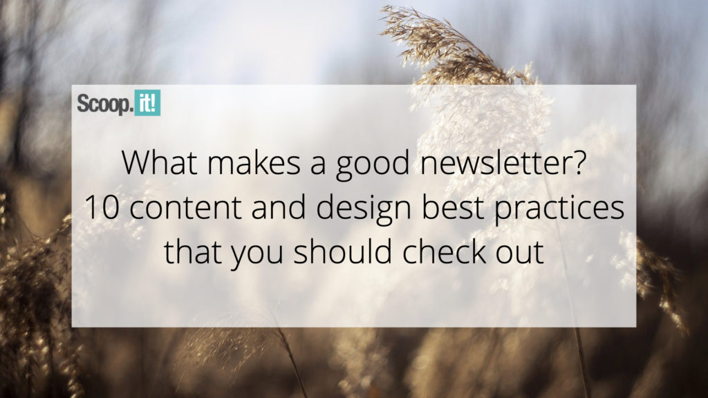 What Makes a Good Newsletter? 10 Content And Design Best Practices That You Should Check Out