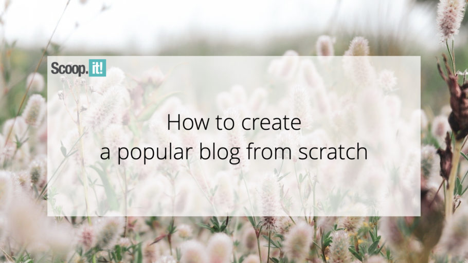How to Create a Popular Blog From Scratch