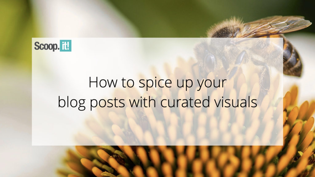 How To Spice Up Your Blog Posts With Curated Visuals