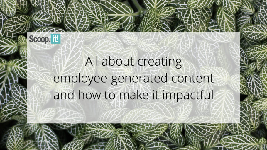 All About Creating Employee-Generated Content and How to Make It Impactful