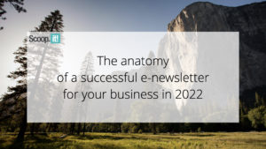 The Anatomy of a Successful E-Newsletter for Your Business in 2022