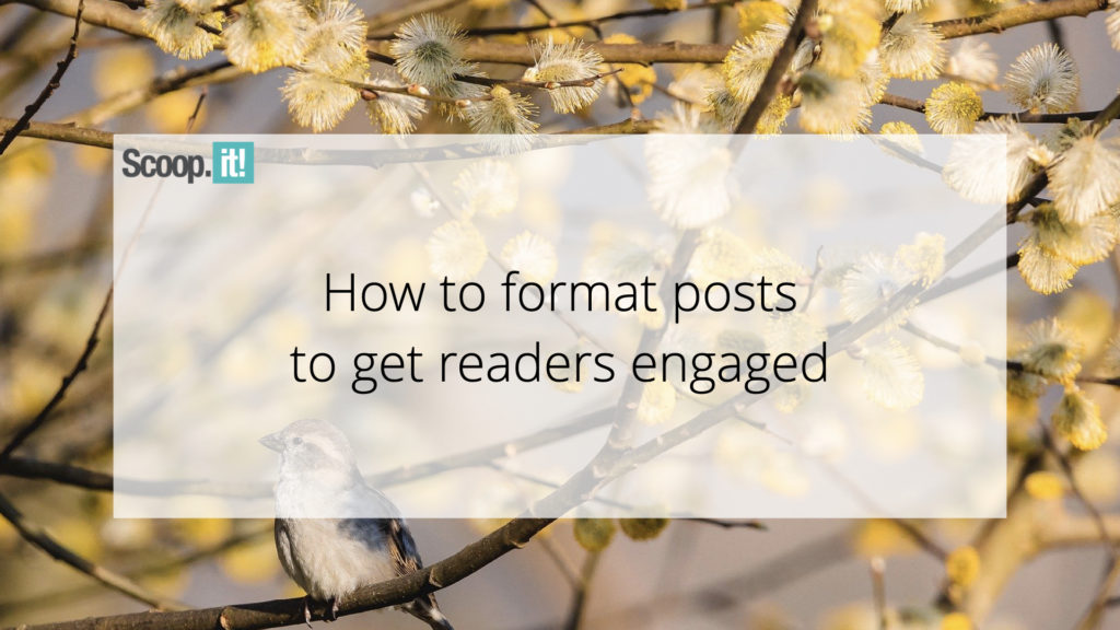 How to format posts to get readers engaged