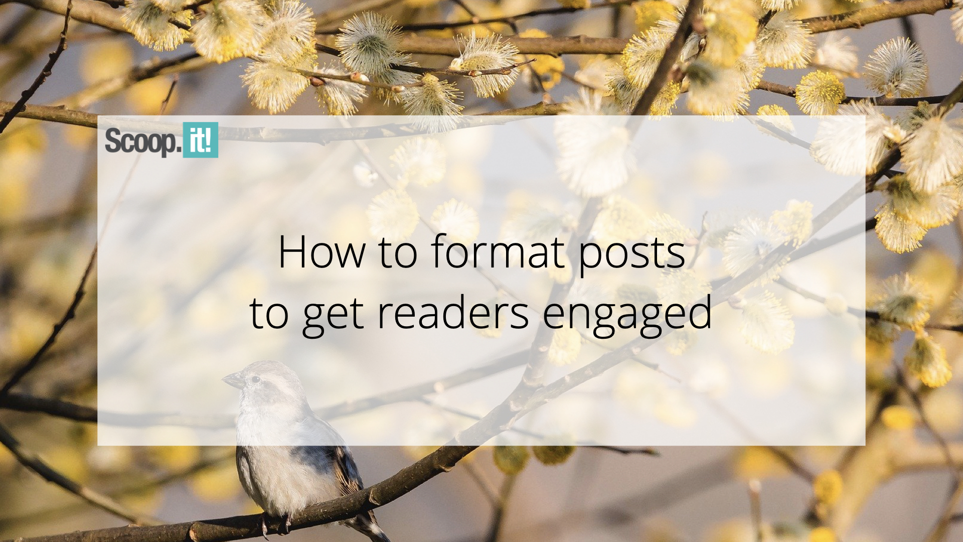How To Format Posts To Get Readers Engaged Scoopit Blog