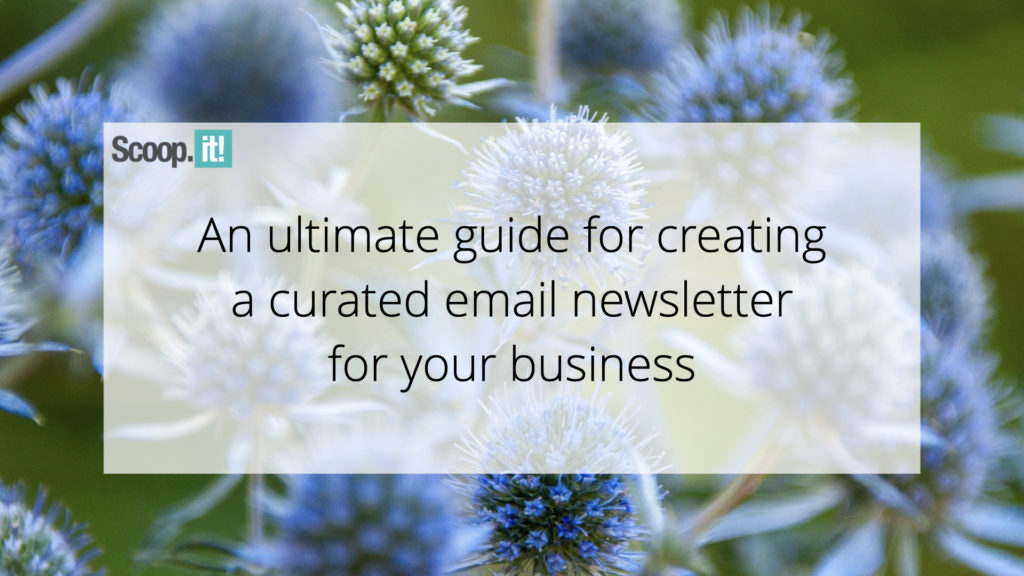 An Ultimate guide for creating a curated email newsletter for your business