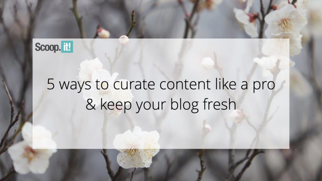 5 Ways To Curate Content Like a Pro & Keep Your Blog Fresh