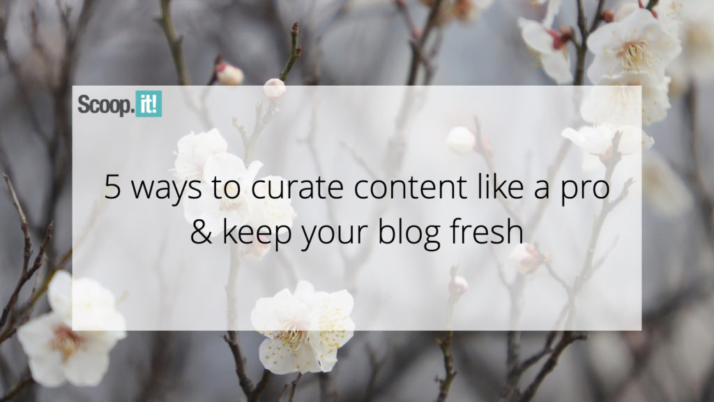 <div>5 Ways To Curate Content Like a Pro & Keep Your Blog Fresh￼</div>