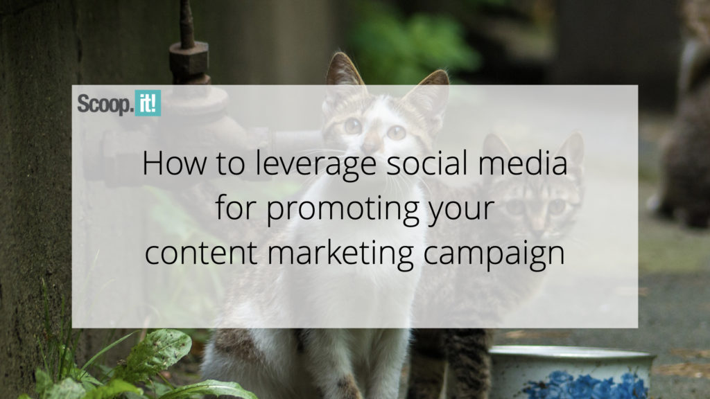 How to use social media to promote your content marketing campaign
