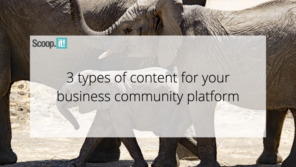 3 Types of Content for Your Business Community Platform