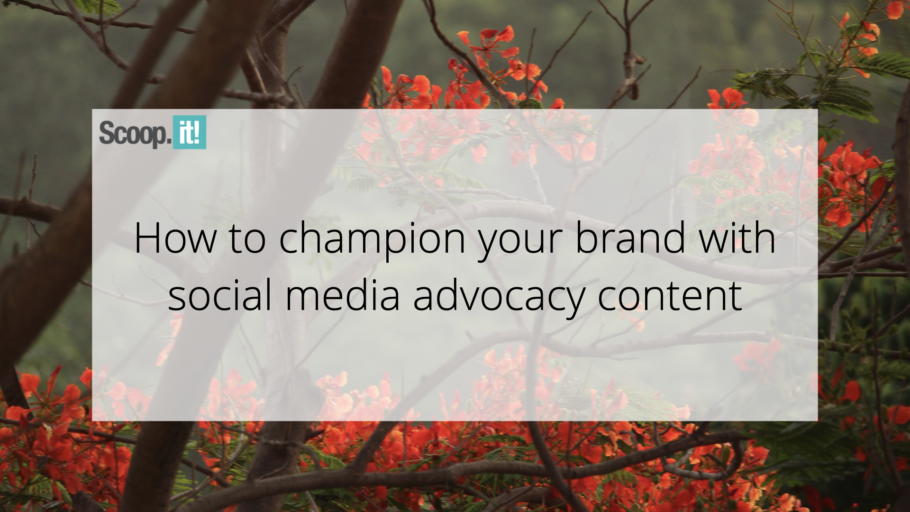How to Champion Your Brand With Social Media Advocacy Content