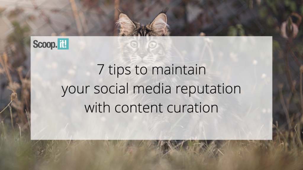 7 Tips to Maintain Your Social Media Reputation With Content Curation