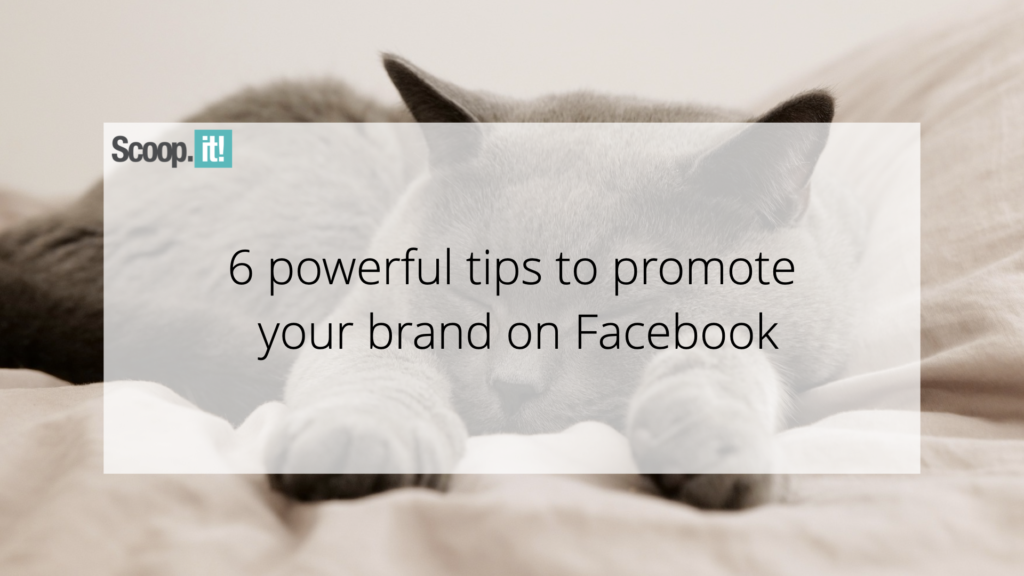 6 Powerful Tips to Promote Your Brand On Facebook