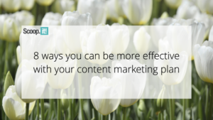 8 Ways You Can Be More Effective With Your Content Marketing Plan