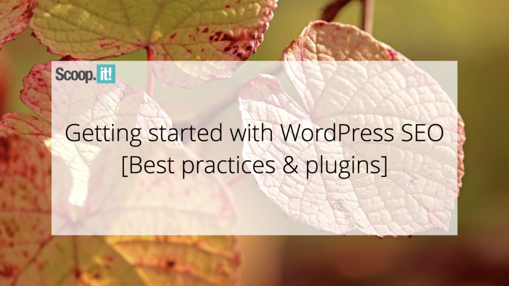 Getting Started with WordPress SEO [Best Practices & Plugins